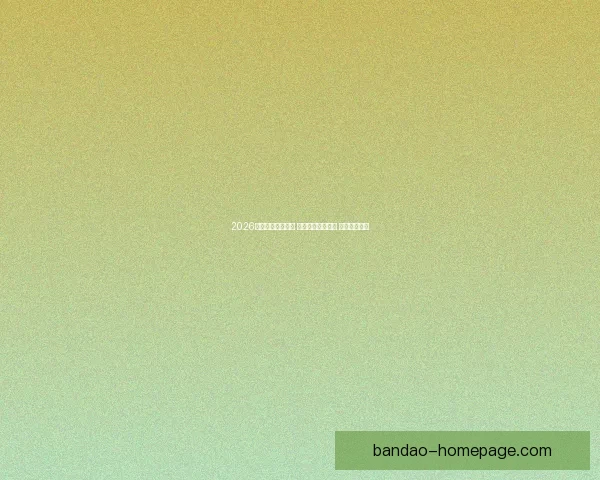 2026世界杯助攻榜揭晓 球员表现引发热议 未来之星浮现