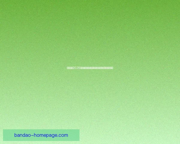 深度解析2026世界杯竞猜盘口走势与热门球队胜负概率全面前瞻